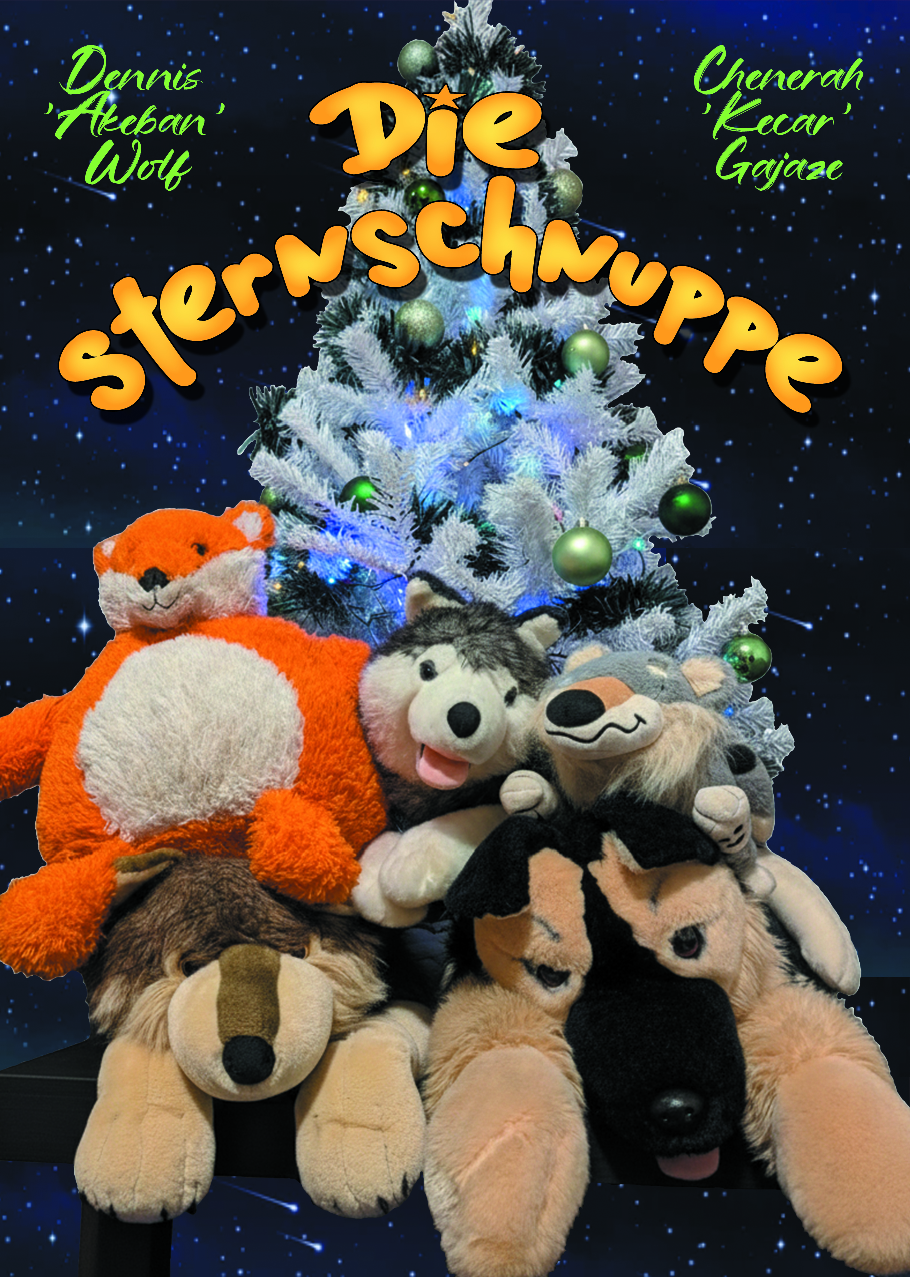 Cover Sternschnuppe